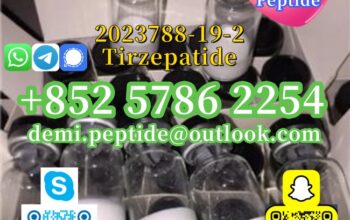 Retatrutide cas 2381089-83-2 wholesale price 99% p