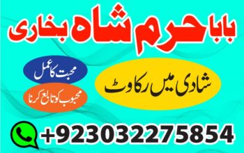 amil baba peer baba amil karachi on linkedin: #wor
