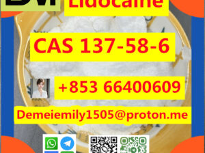 CAS 137-58-6 利多卡因 中国工厂销售 价格低 高纯度 品质好 热销 安全交货 快速交货