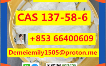 CAS 137-58-6 利多卡因 中国工厂销售 价格低 高纯度 品质好 热销 安全交货 快速交货