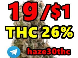 Autoflower, Haze, Kannabia, Slurricane,