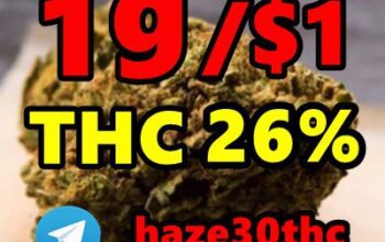 Sativa, Jet Fuel Gelato, White Widow, Zkittlez,