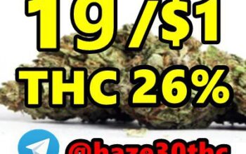 White Widow, OG Kush, Lemon Skunk, Pink Kush,