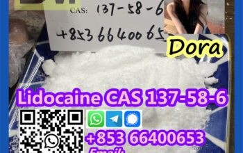 Lidocaine，CAS 137-58-6