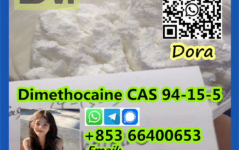 Dimethocaine，CAS 94-15-5