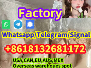 Protonitazene CAS:119276-01-6 Metonitazen 14680-51