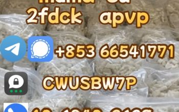 MDMA,42542-10-9,Competitive Price(+85366541771)