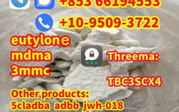 eutylone,3mmc,mdma,2fdck,4mmc,3cmc,apvip,euty,EUTY