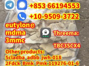 eutylone,3mmc,mdma,2fdck,4mmc,3cmc,apvip,euty