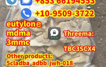 eutylone,3mmc,mdma,2fdck,4mmc,3cmc,apvip,euty