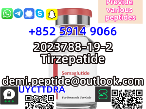 CAS 910463-68-2 Semaglutide 99% High Quality