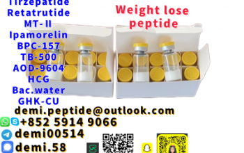 CAS 2023788-19-2 Tirzepatide 99% High Quality