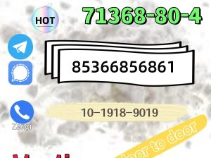 High quality hot sale zolam 71368-80-4 28981-97-7