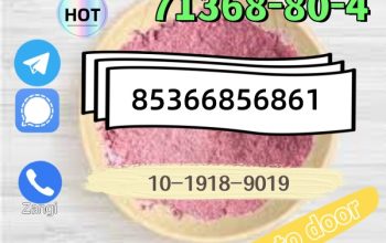 High quality hot sale zolam 71368-80-4