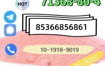 High quality hot sale zolam 71368-80-4