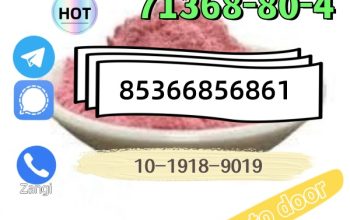 High quality hot sale zolam 71368-80-4