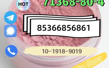 High quality hot sale zolam 71368-80-4