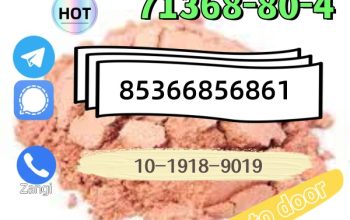 High quality hot sale zolam 71368-80-4