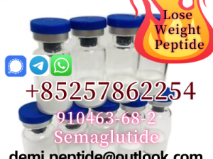 Semaglutide CAS 910463-68-2 Manufacturers Supplie