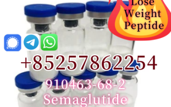 Semaglutide CAS 910463-68-2 Manufacturers Supplie