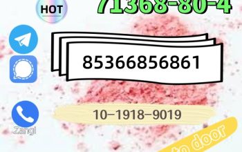 High quality hot sale zolam 71368-80-4