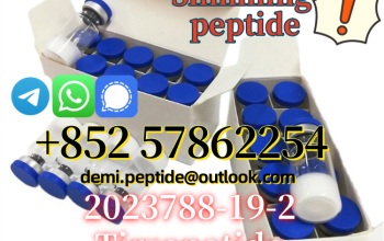 Tirzepatide CAS 2023788-19-2 Manufacturers Supplie