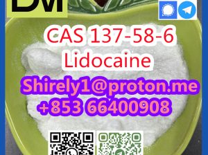 CAS 137-58-6 Lidocaine high quality