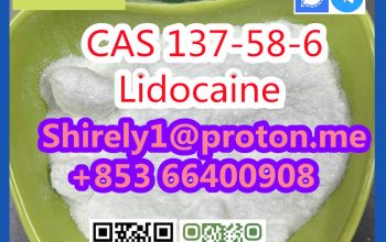 CAS 137-58-6 Lidocaine high quality