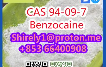 CAS 94-09-7 Benzocaine high quality