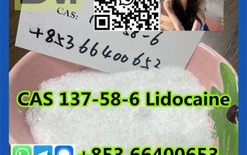 Lidocaine，CAS 137-58-6