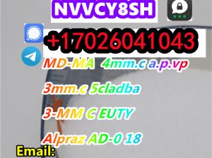 16 Years Factory Direct Supply CAS 2785346-75-8 CA