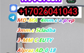 16 Years Factory Direct Supply CAS 2785346-75-8 CA