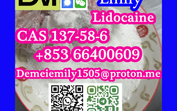 CAS 137-58-6 利多卡因 销售低价高纯度优质热销