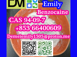 CAS 94-09-7 苯佐卡因 低价高纯度优质