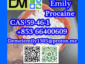 CAS 59-46-1 Procaine China factory supply lower pr