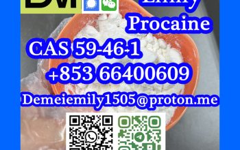 CAS 59-46-1 Procaine China factory supply lower pr