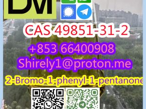 2-Bromo-1-phenyl-1-pentanone CAS 49851-31-2