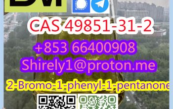 2-Bromo-1-phenyl-1-pentanone CAS 49851-31-2