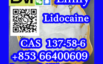 CAS 94-15-5 Dimethocaine