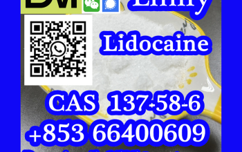 CAS 137-58-6 Lidocaine