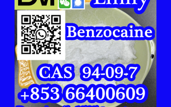 CAS 94-09-7 Benzocaine