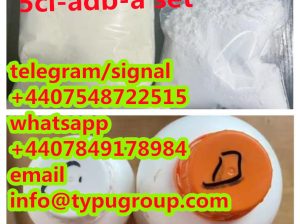 high purity 5cl-adb-a precursor cas 13605-48-6