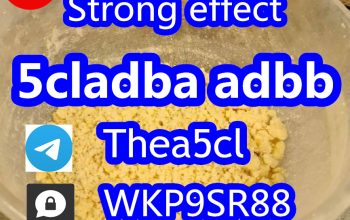 5cladb 5cladba High purity 5cl-adb-a adbb 5fadb.