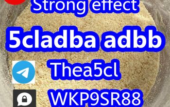 5cladba 5CLADB Cannabinoids Raw Materials adbb