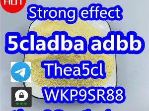 5CL-ADB China supplier 5cladba 5cladb vendor