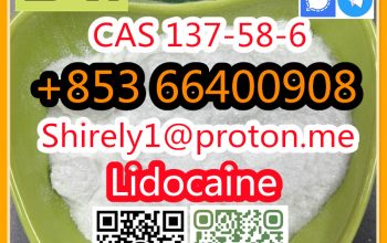 CAS 137-58-6 Lidocaine high quality good price