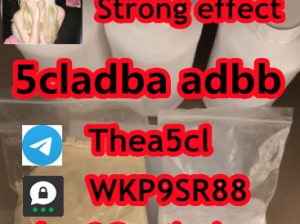 5cladba 5cladb vendor on sale 5CL-ADB High quality