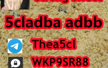 5cladba 5cladb vendor 5CL-ADB The best price