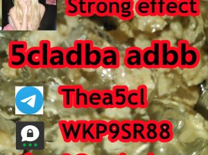 5cladba 5cladb vendor sale 5CL-ADB fast delivery