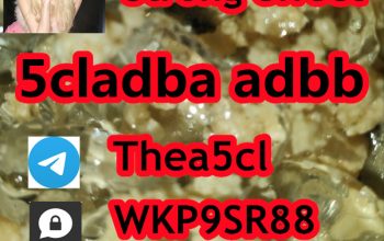 5cladba 5cladb vendor sale 5CL-ADB fast delivery